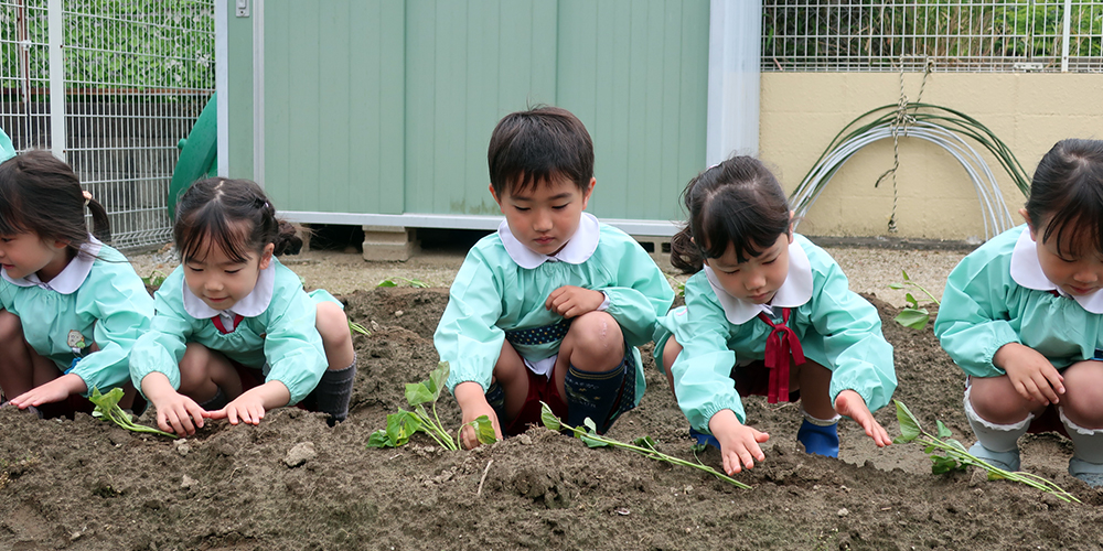 学校法人村木学園　よもぎ幼稚園